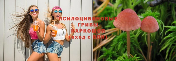 СК Богородицк