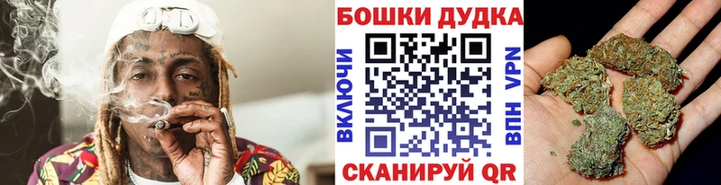 Конопля планчик купить наркотики цена Новый Уренгой