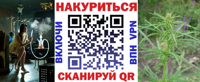 Конопля гибрид Новый Уренгой